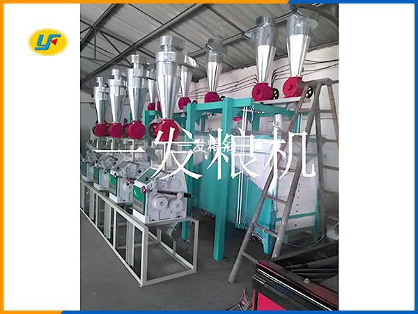 日產(chǎn)40-60T平篩機(jī)組成套設(shè)備 